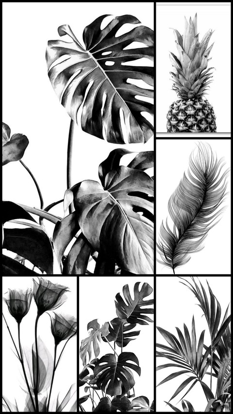 Black&White Wallpaper©