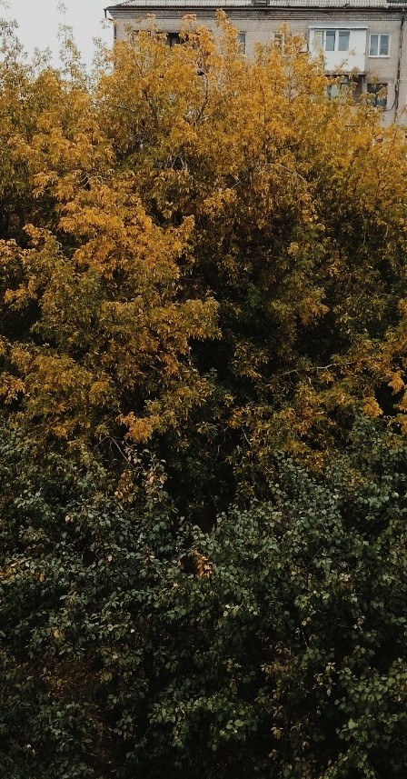 Autumn