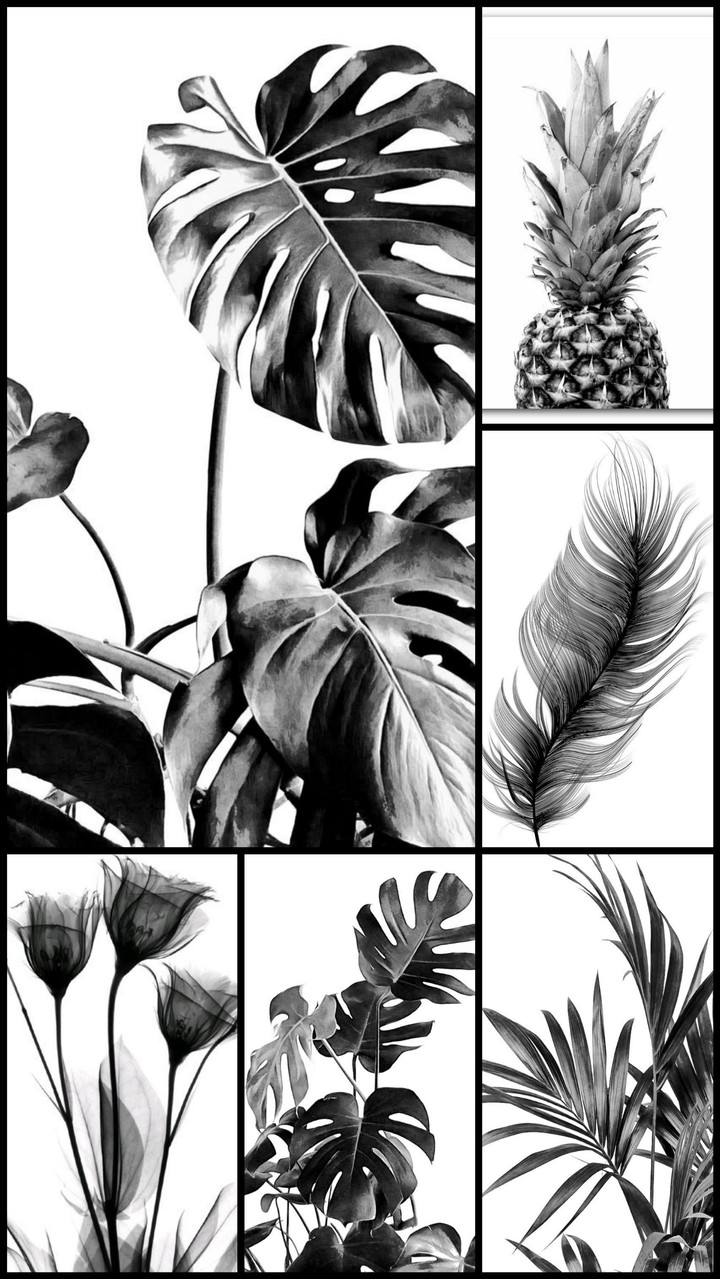 Black&White Wallpaper©