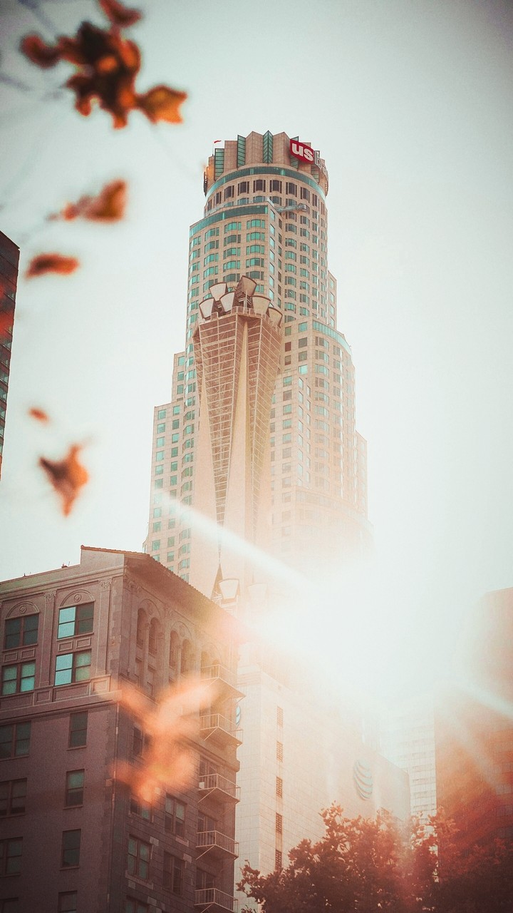 #city