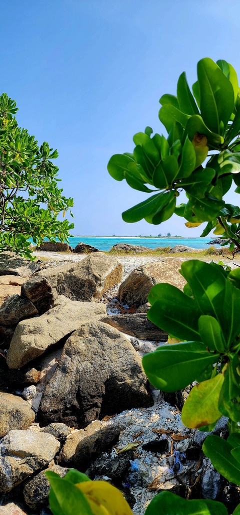 tropics, 海洋桌布