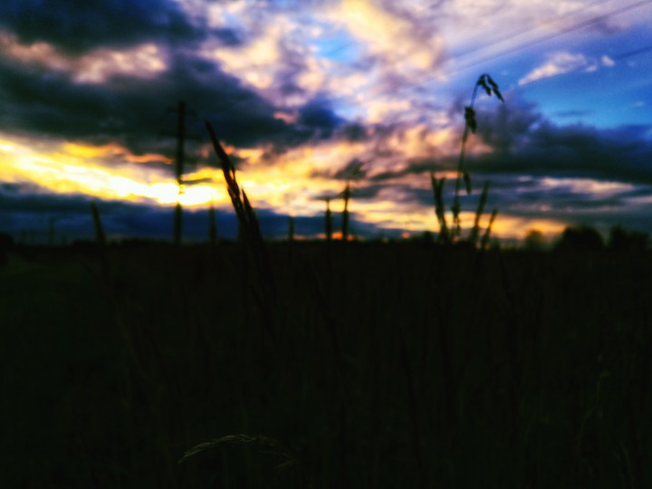 Sunset on the field
