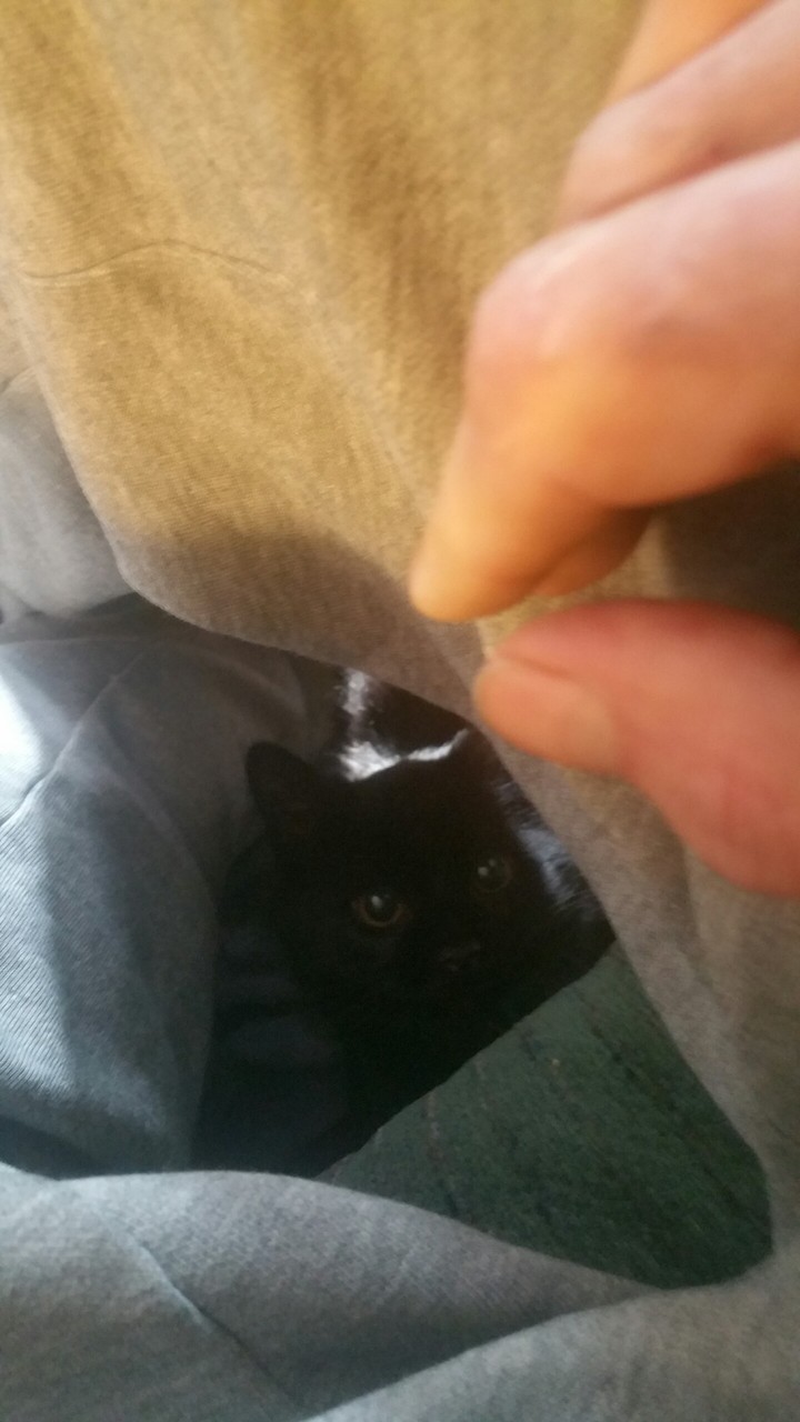 Ms Mischief