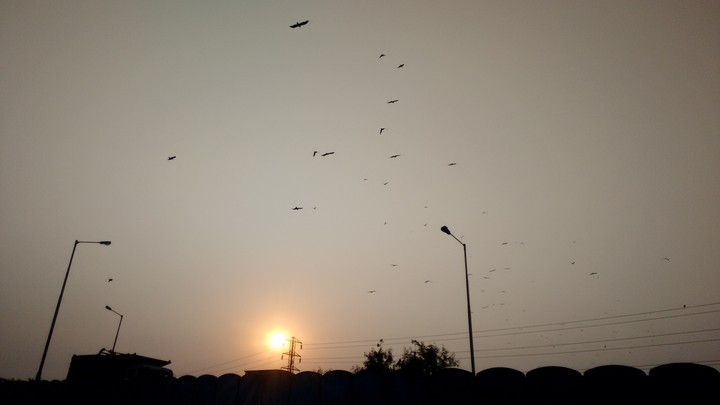 sunset