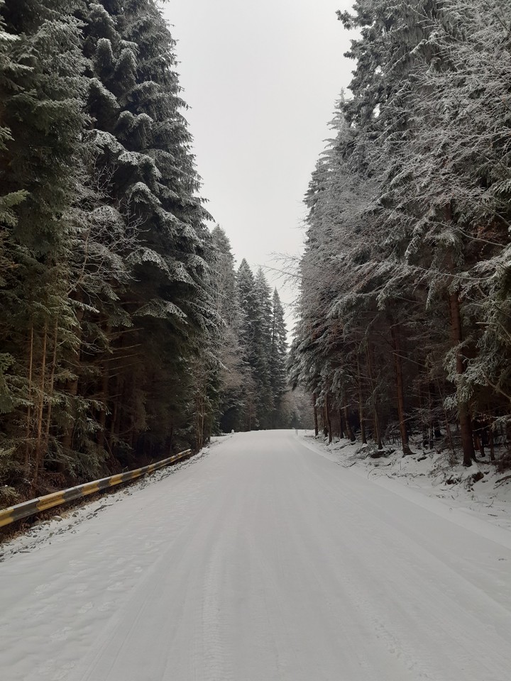 nature