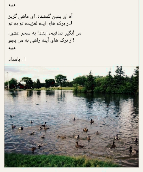 ماهی