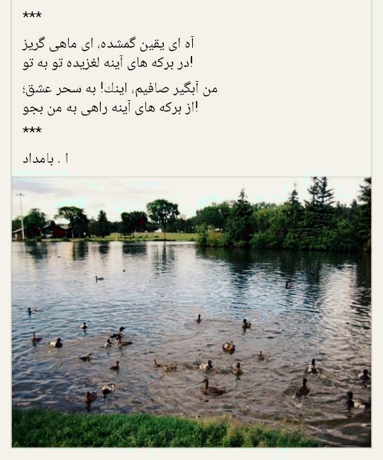 ماهی