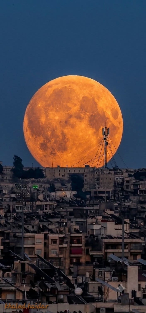moon, evening壁纸