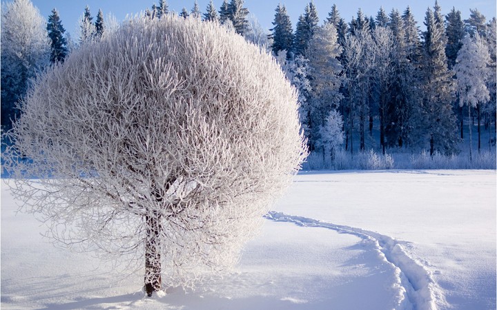 snow