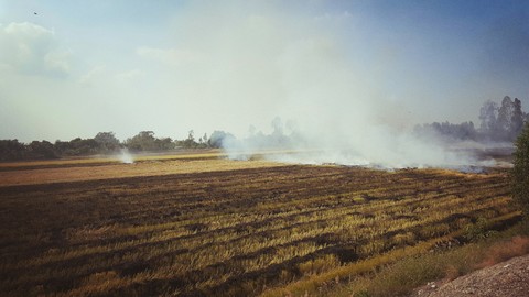 field fire