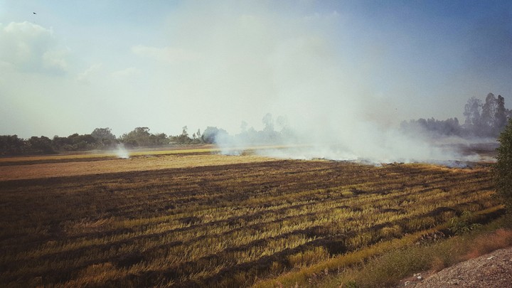 field fire
