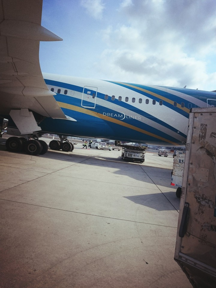 Boing The Dreamliner
