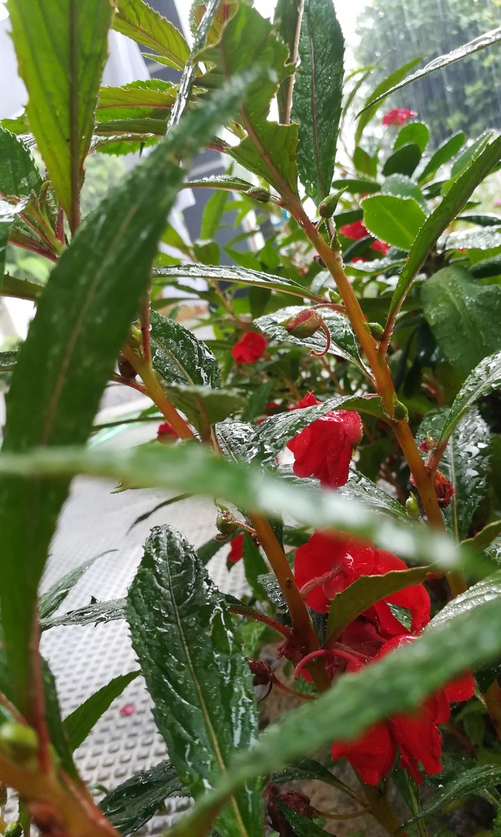 rainy day