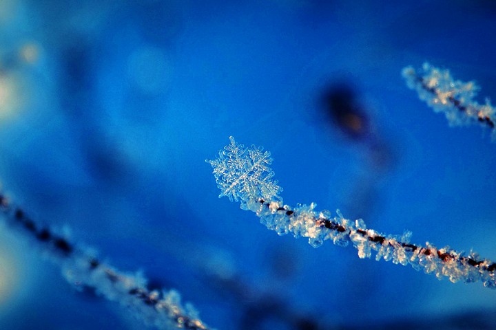 sowflake