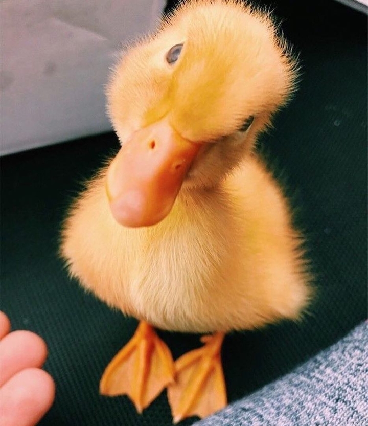 ?