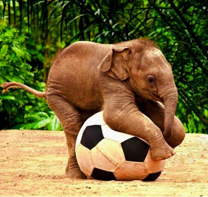 I Hide the ball until the kids back . . .:) :D