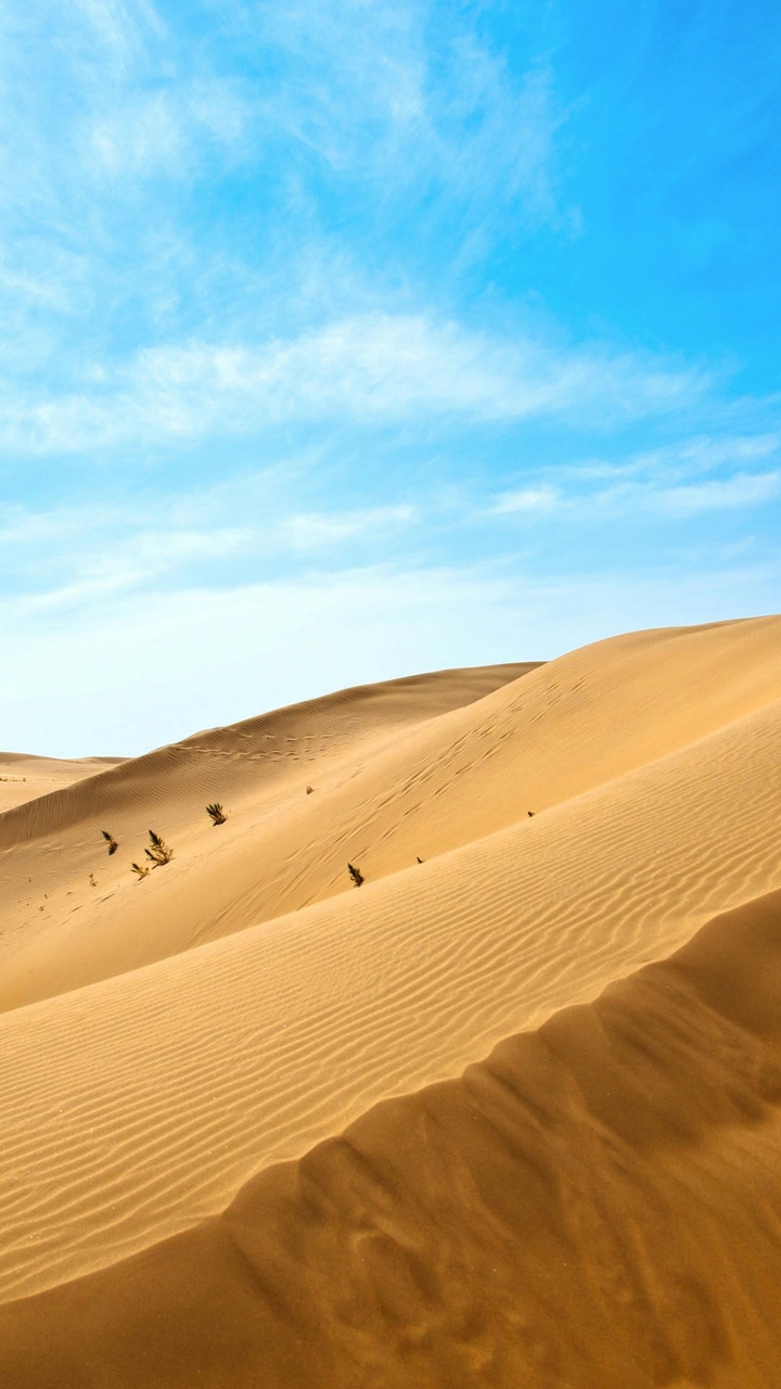 desert