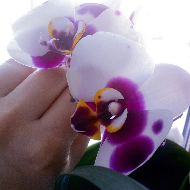 ....beautiful