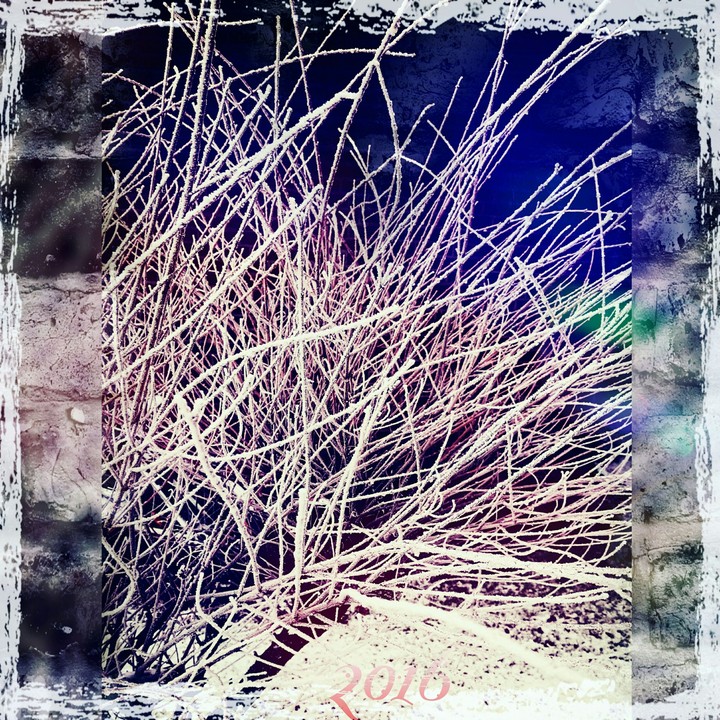 ice-tree
