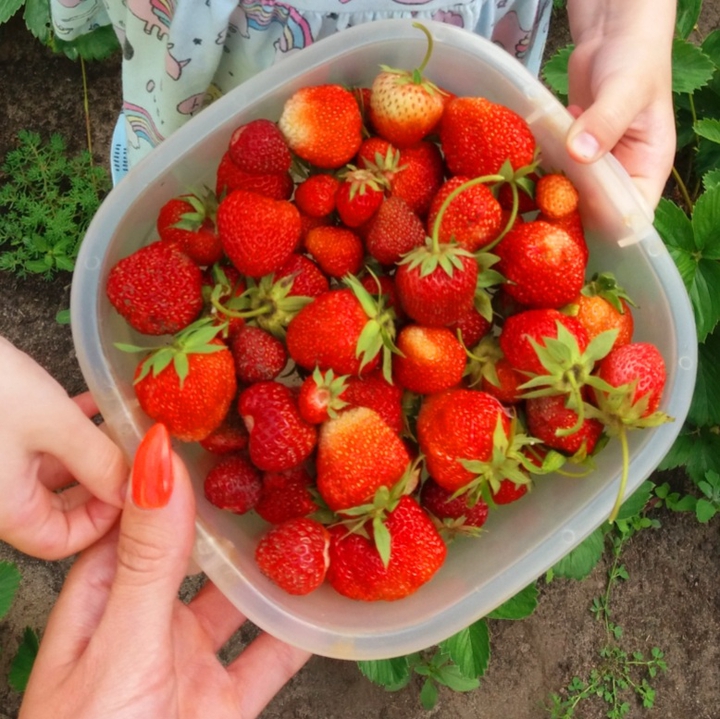 Strawberry