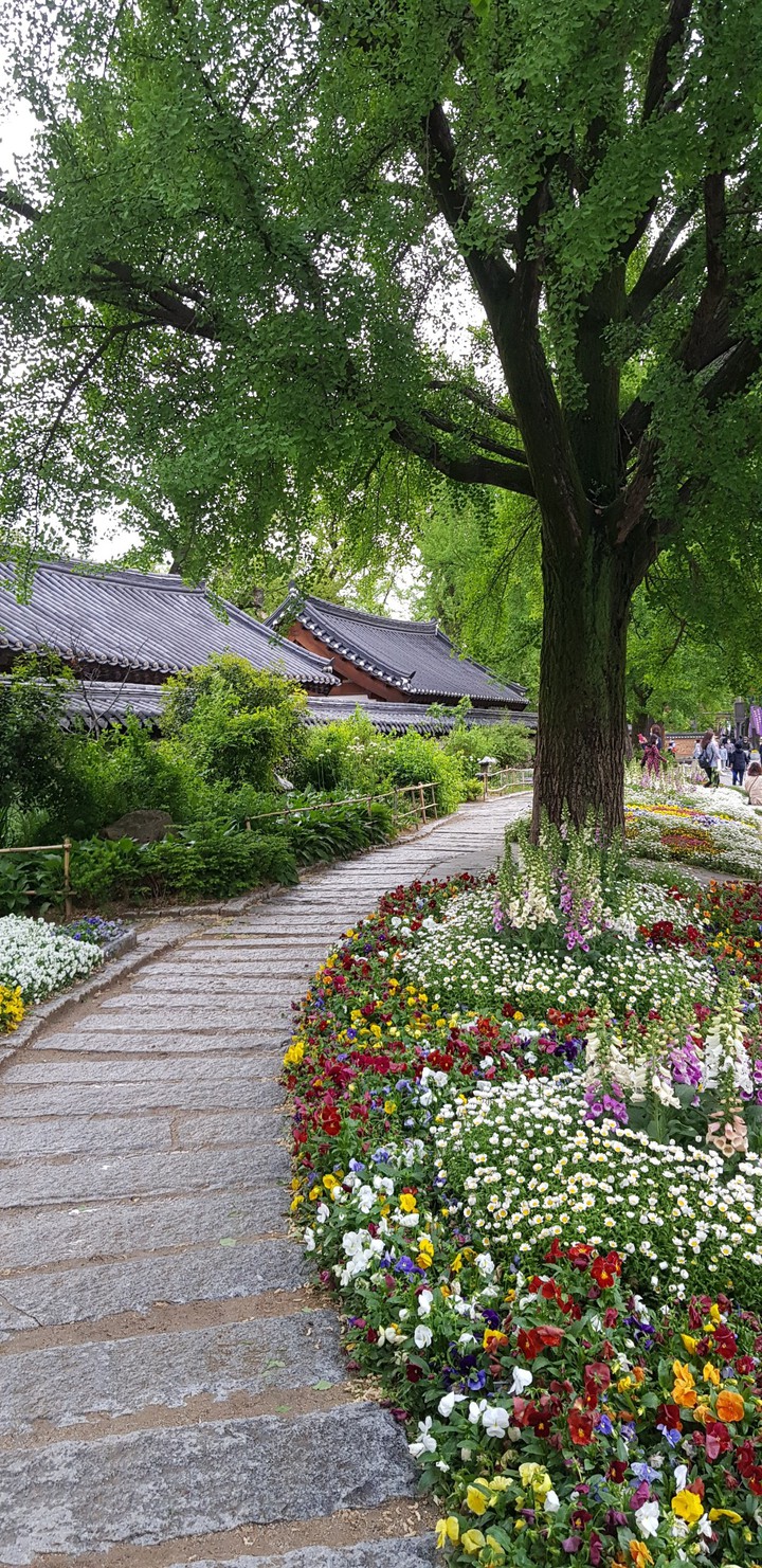 길