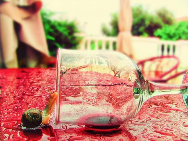 A litle bit of wine please