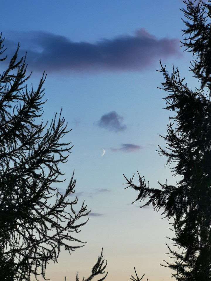 moon sky