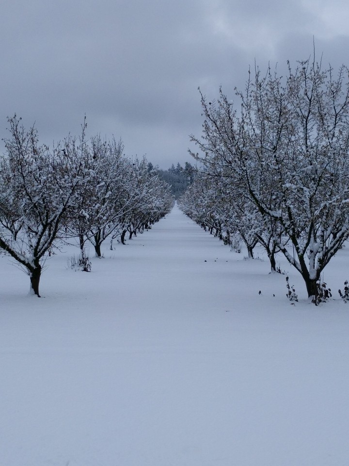 snow lanes