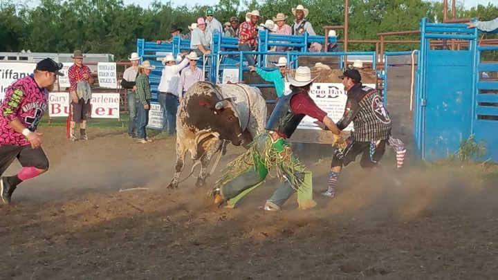 bull rider