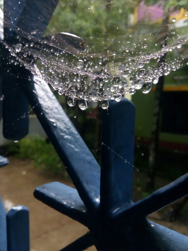water droplets