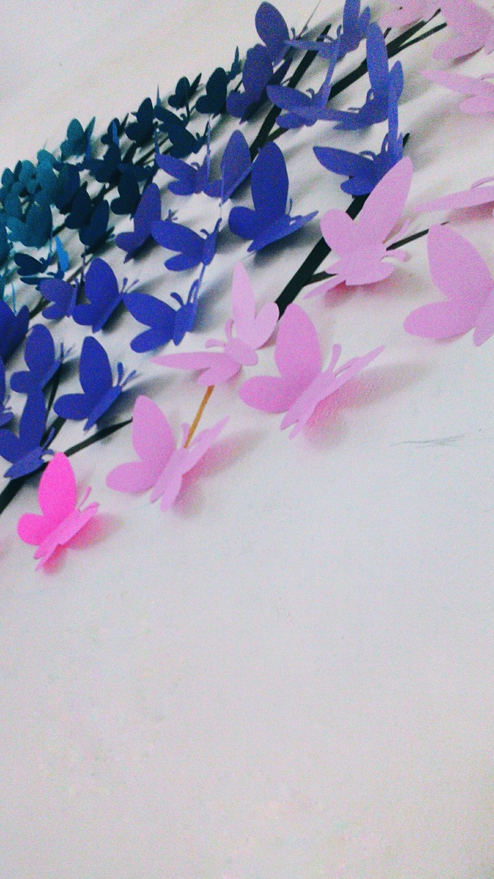 Colorful butterflies
