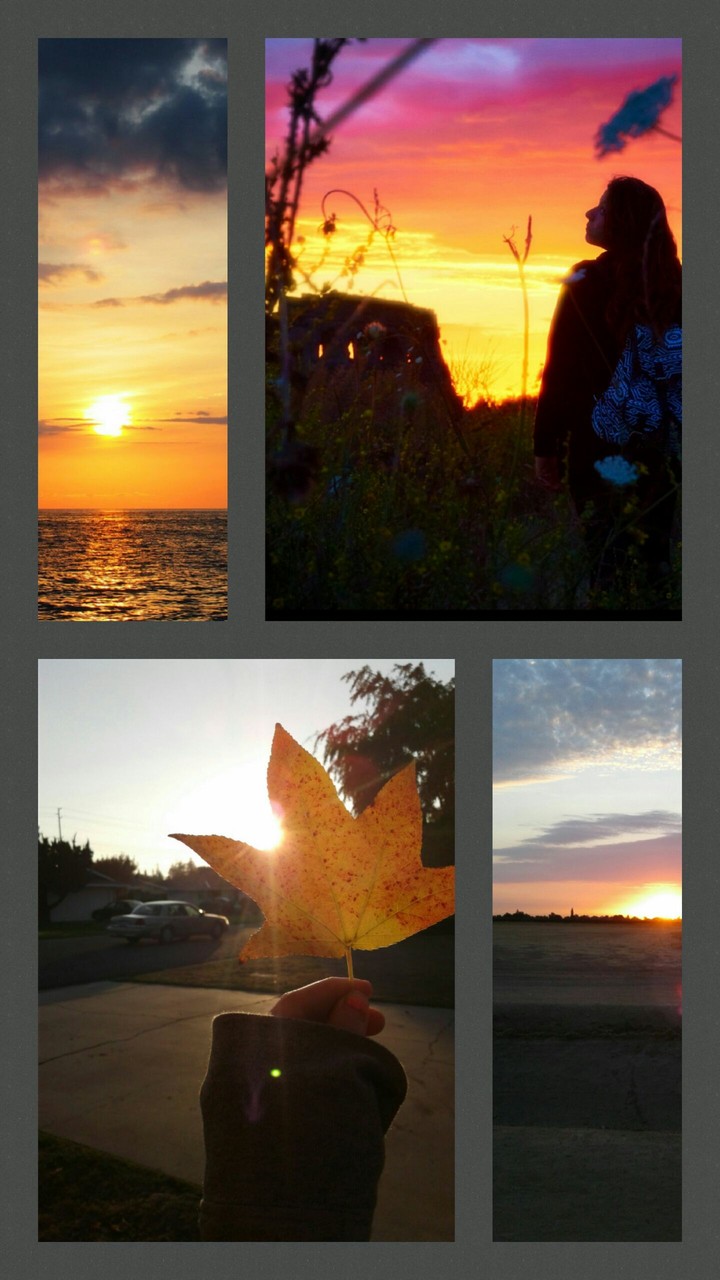 sunset collage