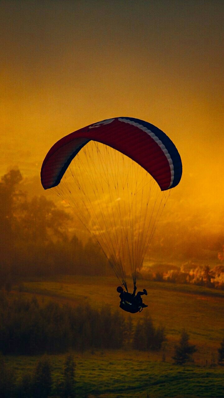 Kite