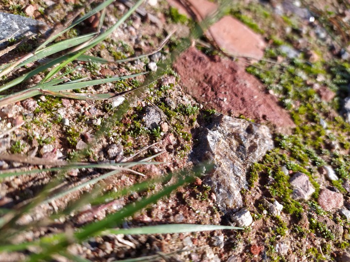 stone