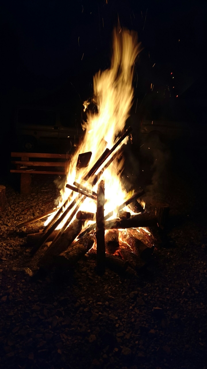 płonie ognisko w lesie