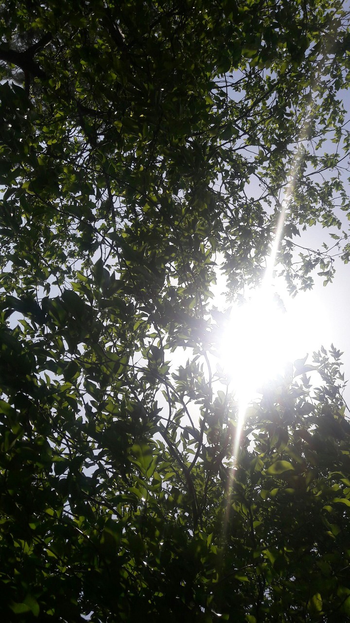 sunshine