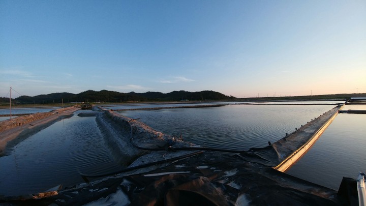 염전
