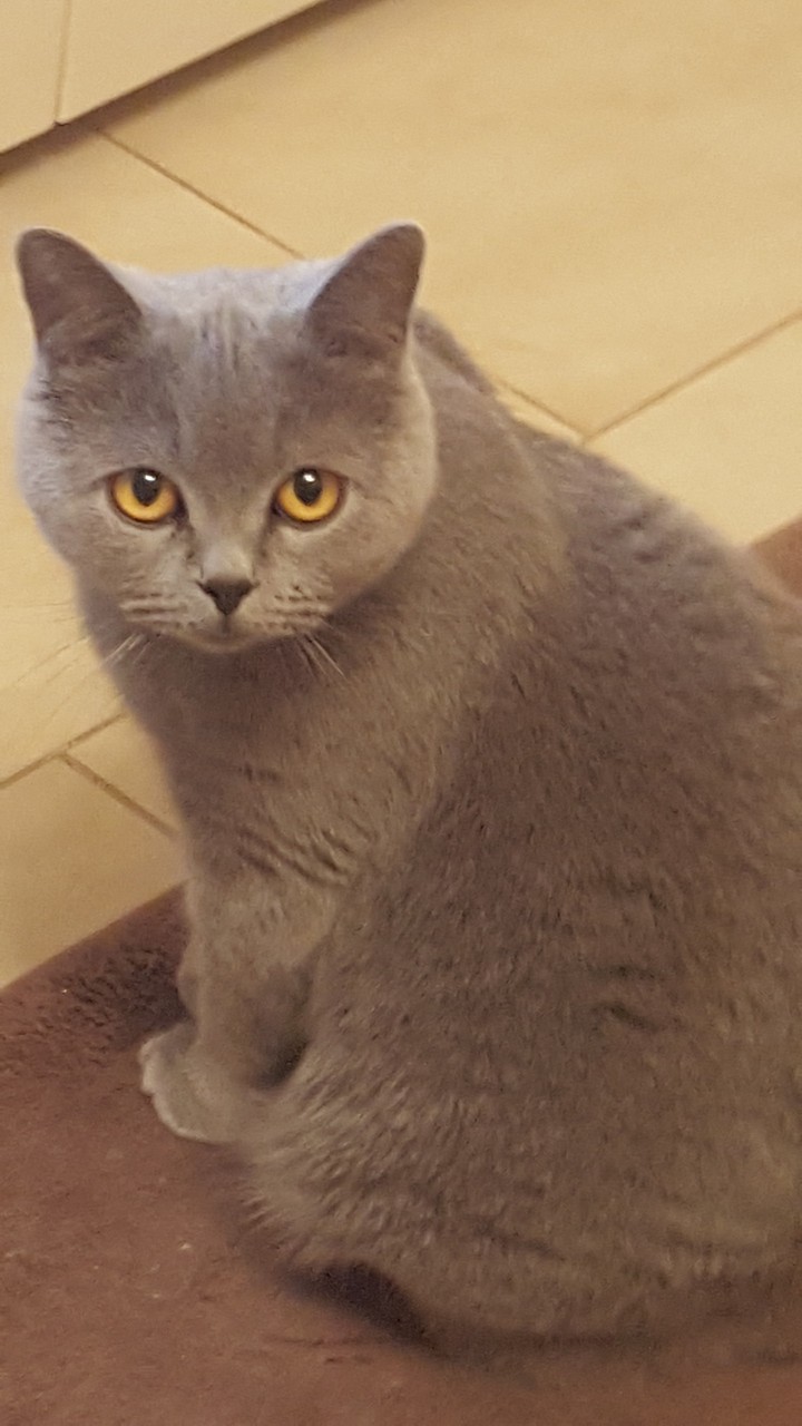 Elizabeth