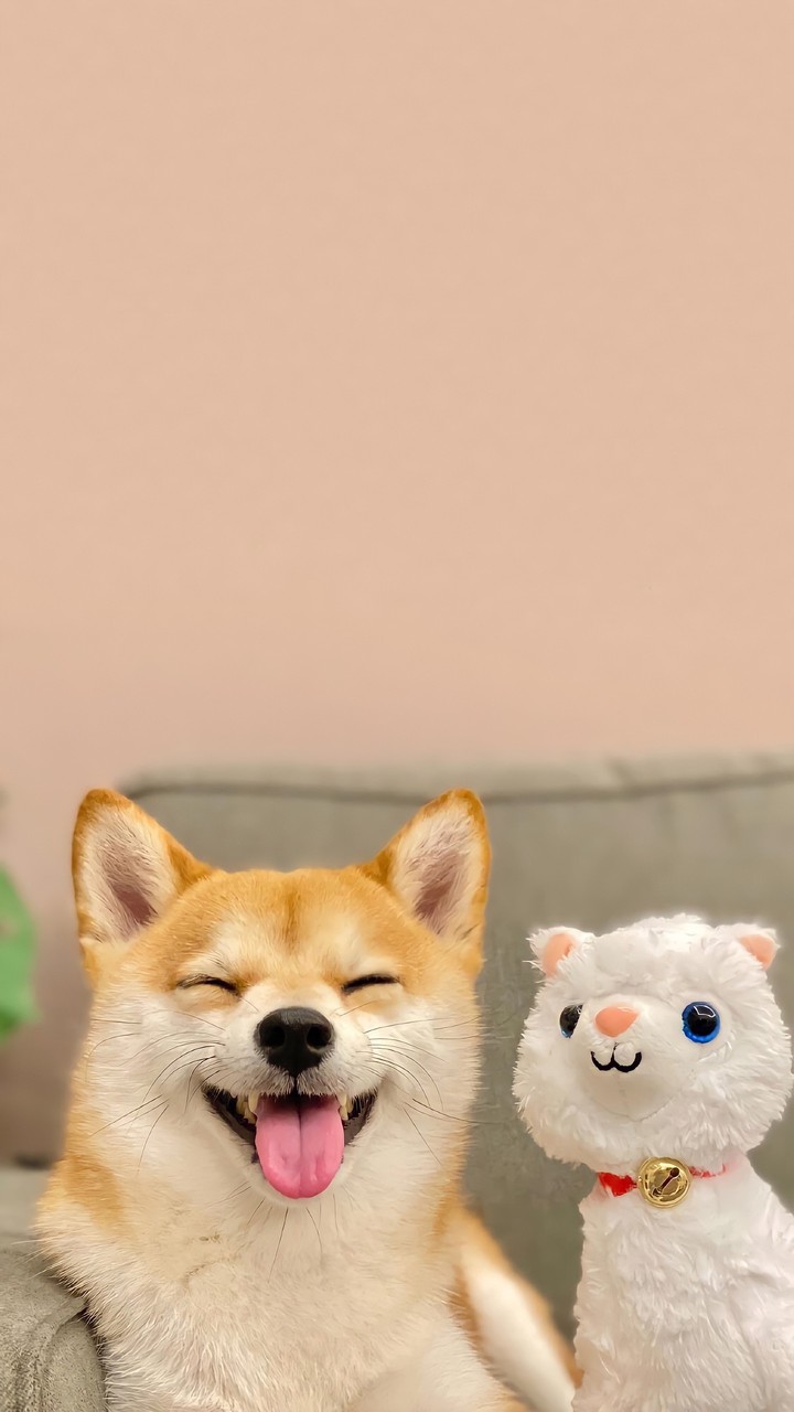 .