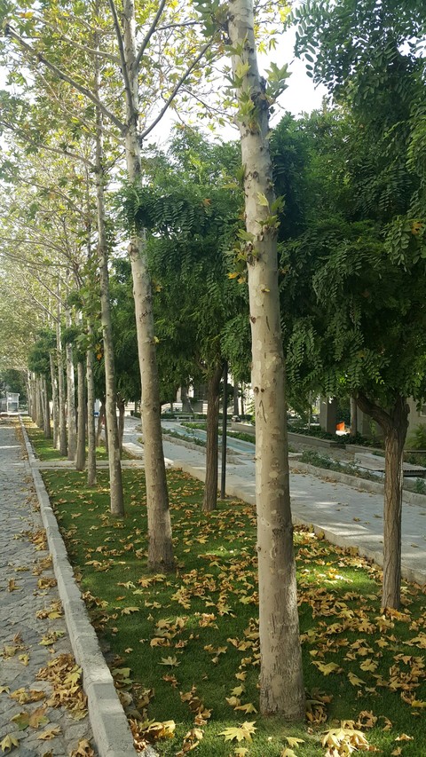 Walking with you