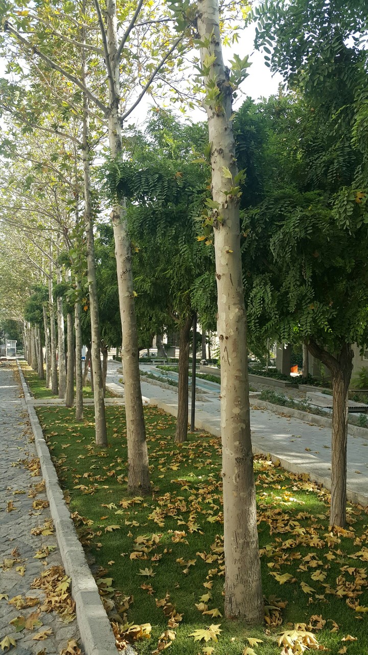Walking with you