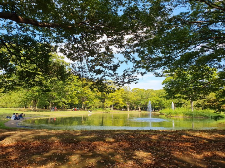 Yoyogi park