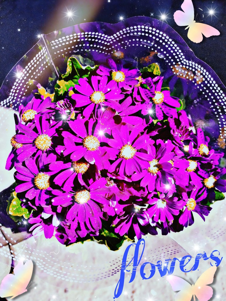 flowers