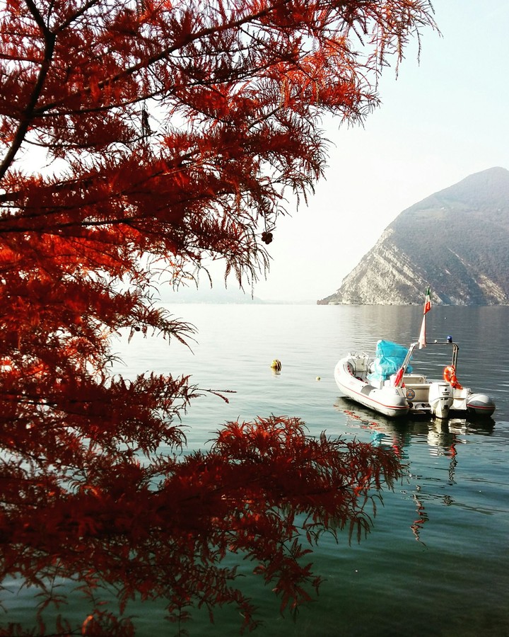 l autunno al lago