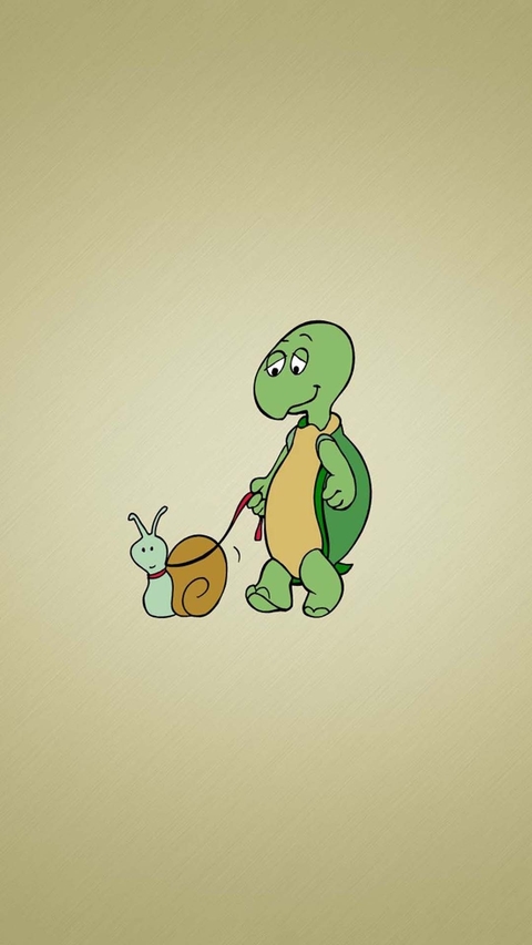 slow and steady wins the race