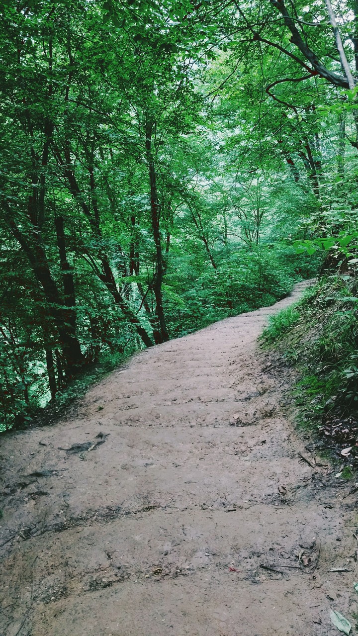 pathway