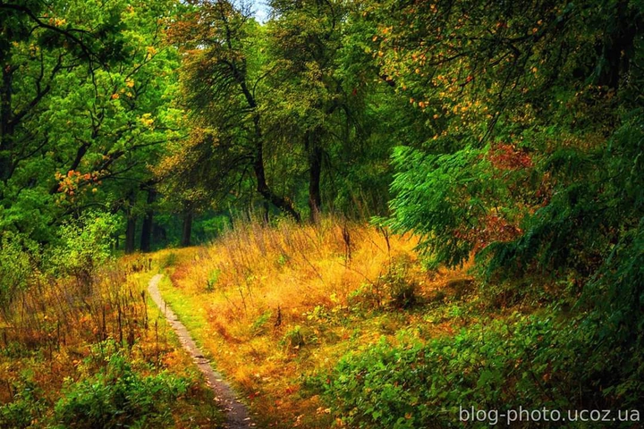 осень