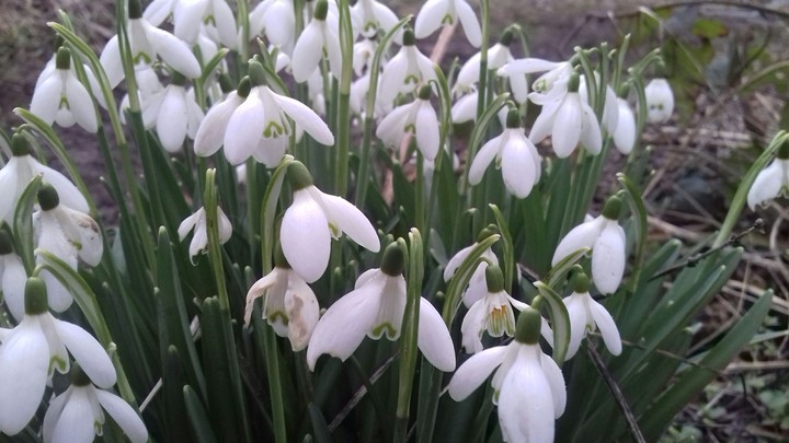 spring is coming....