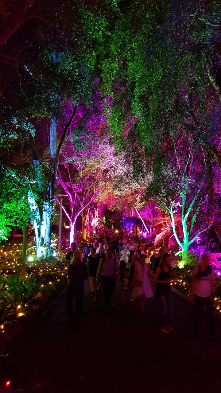 Enchanted Garden