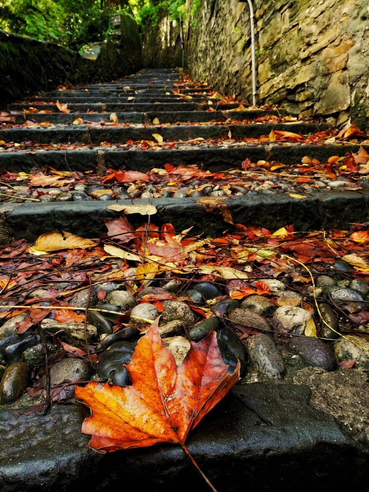 Autumn